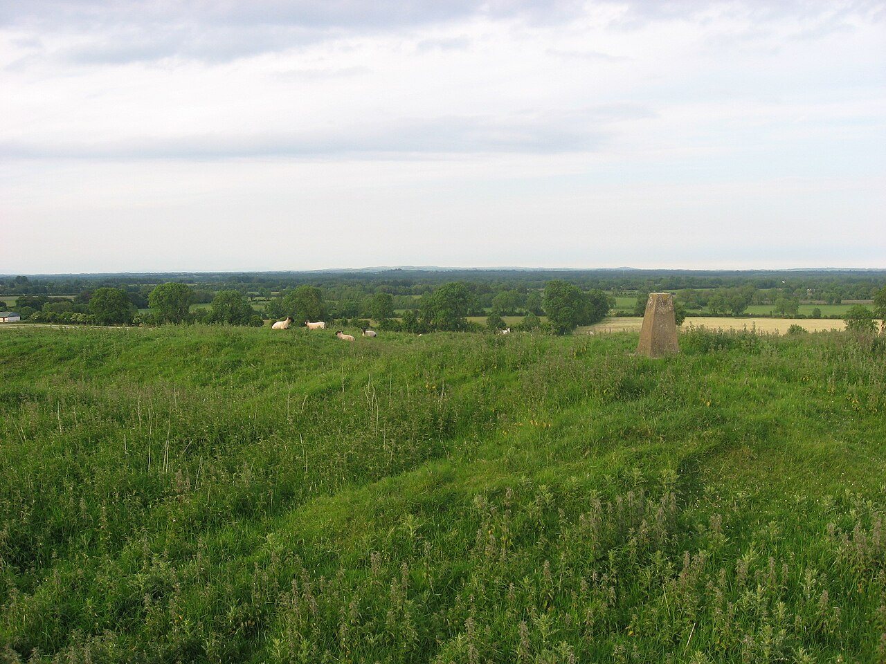 A grassy hilltop with earthworks, a stone trig pillar and sheep resting, looking out over green fields in County Meath.